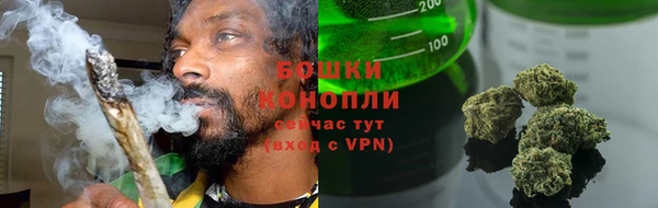 ПСИЛОЦИБИНОВЫЕ ГРИБЫ Карталы