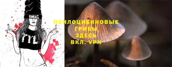ПСИЛОЦИБИНОВЫЕ ГРИБЫ Карталы