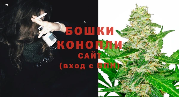 ПСИЛОЦИБИНОВЫЕ ГРИБЫ Карталы