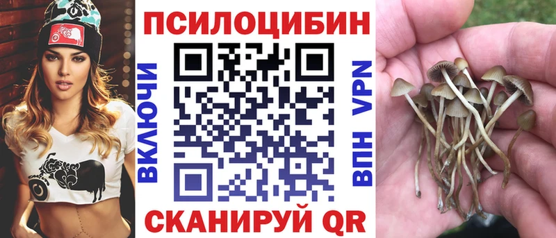 Галлюциногенные грибы Psilocybine cubensis  Купить где  Болгар 