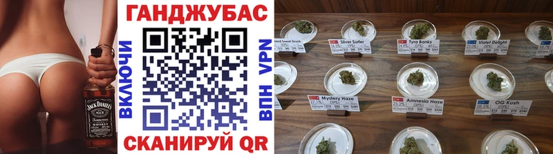 Каннабис сатива  Купить закладки  Болгар 
